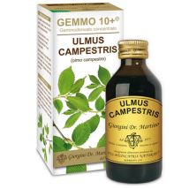 Olmo camp 100ml analco gem 10+