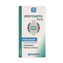 Ergycartil forte 15buste 4,4gr