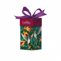 Euphidra bordeaux royale 2 pezzi