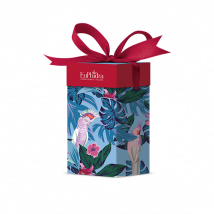 Euphidra journey no age 3 pezzi