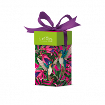 Euphidra magenta royale 2 pezzi