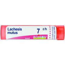 Lachesis mutus 7ch gr