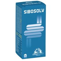 Sibosolv 60 capsule acidoresist