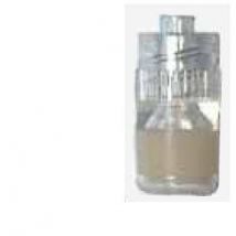 Tappo ster perf luer