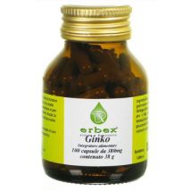 Ginkgo biloba 100 capsule 380mg