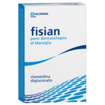 Fisian pane dermatol 100g