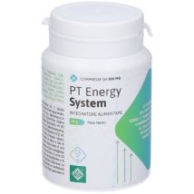 Pt energy system 30 compresse