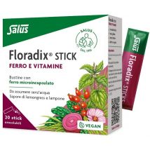 Floradix 20stick