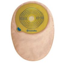 Flormidabil daily 10bust c ste