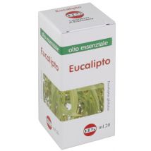 Eucalipto olio ess 20ml