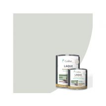 Laque SILICA