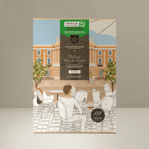 Coffret peinture au numéro Toulouse - illustration par Julie Autha - Primevère Lesson Créations