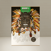 Coffret peinture au numéro Lion - illustration par Marikala- Primevère Lesson Créations
