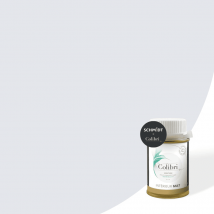 Testeur peinture murs et plafonds Everest - Velours - échantillon de peinture biosourcée de 100ML