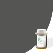 Testeur peinture murs et plafonds Gris Basalte - Velours - échantillon de peinture biosourcée de 100ML