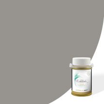 Testeur peinture murs et plafonds Gris - Velours - échantillon de peinture biosourcée de 100ML