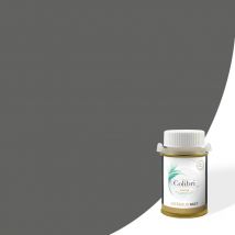 Testeur peinture murs et plafonds Gris Miro - Velours - échantillon de peinture biosourcée de 100ML