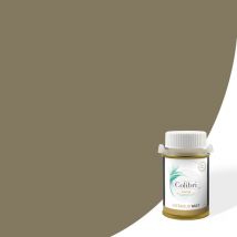 Testeur peinture murs et plafonds Brun Patis - Velours - échantillon de peinture biosourcée de 100ML