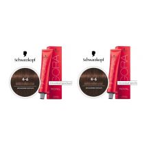 Medium Brown Chocolate 4-6 Schwarzkopf Igora Royal Permanent Color - 4-6 (2pks)