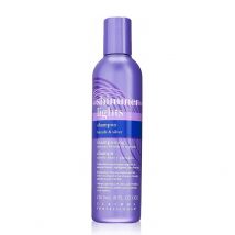 Clairol Shimmer Lights Shampoo & Conditioner - Shampoo, 236.5 ml, 2 Shampoos