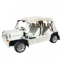 Capote Seule Mini Moke Australienne Cabriolet En Vinyle Everflex