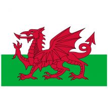 Flag of Wales 1.6m x 90cm
