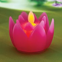 Fuschia Lotus With Led