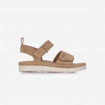 Goldenstar  Beige