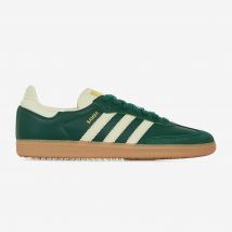 Samba Og  Vert