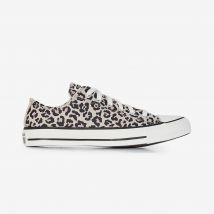 Chuck Taylor All Star Ox Leopard  Beige/noir