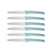 Coffret 6 couteaux de table Kiana sauge lame inox - Couteaux du Chef