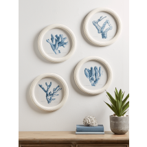 Four Coral Framed Prints