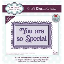 Creative Expressions Sue Wilson Craft Die Set Sentiments You Are So Special | Set of 2