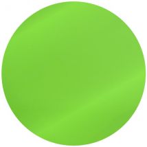 Creative Craft Products A4 Self Adhesive Vinyl Sheet Gloss | Lime Tree Green