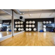 Gym & Dance Studio Mirror - 3.0 mm - Mirror - Cut to Size Dibond
