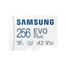 Samsung EVO Plus - Micro SD 256Go V30