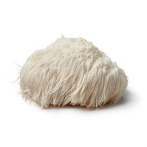 Lion`s Mane [Hericium erinaceus] Bio (Mushrooms For Life) 60 capsules
