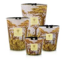 Baobab exklusive Duftkerzen Sacred Trees Cocody Nützliches Baobab Grösse: Max 10