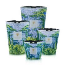 Baobab exklusive Duftkerzen Sacred Trees Yarani Nützliches Baobab Grösse: Max 35