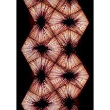 Aqua Creation Mae West Licht Aqua Creation