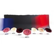 Moroso Bouquet Sessel Sessel Moroso