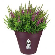 Blumentopf Maulbeere Matt 25x22cm 5,5L