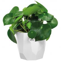 Blumentopf b for rock Weiß 14x13cm 1,5L