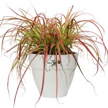 Blumentopf Weiß 35x29cm 18,2L