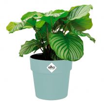 Blumentopf Mint 18x17cm 2,9L