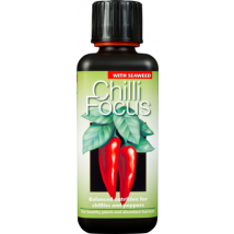 Chilli Focus