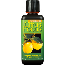 Citrus Focus