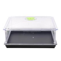 Vito Pod Propagator Unheated