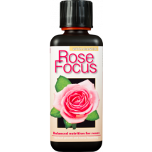 Rose Focus