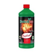 Dutch Pro Explode
